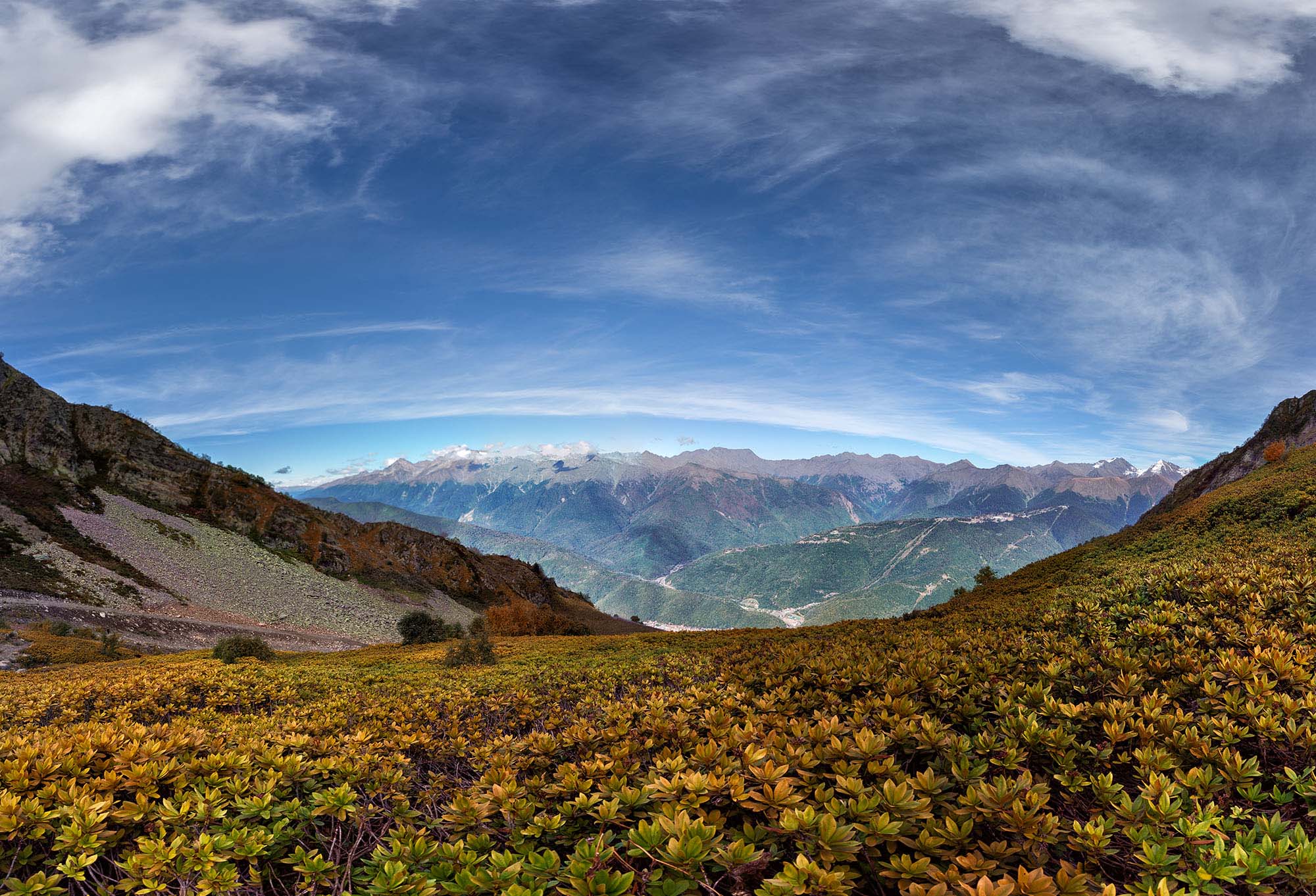 Autumn