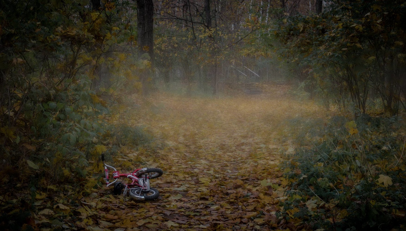 Autumn in the park.