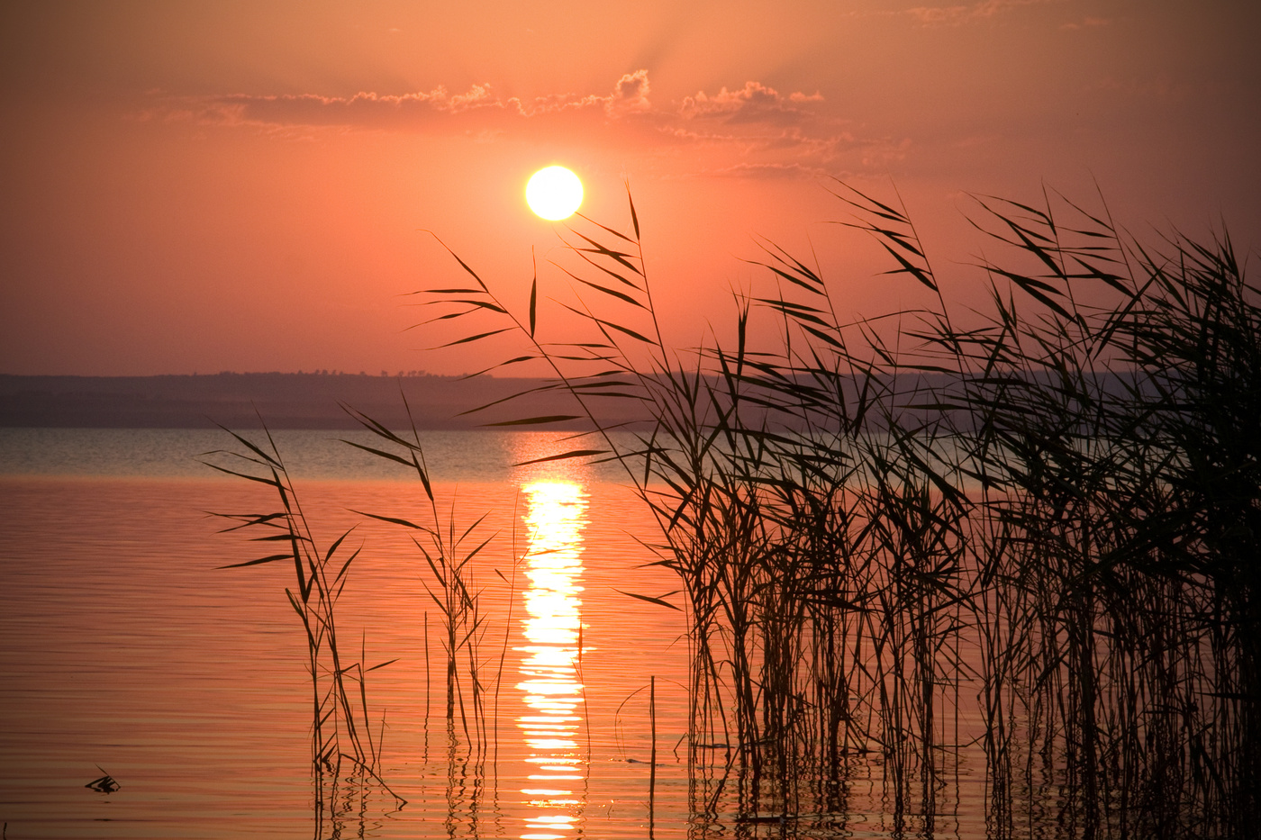 Just the sunset