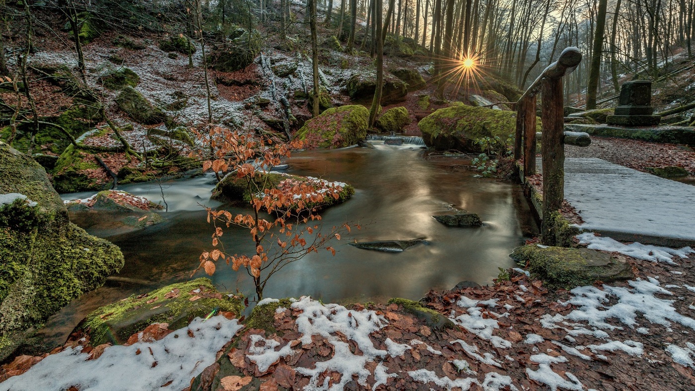 February morning