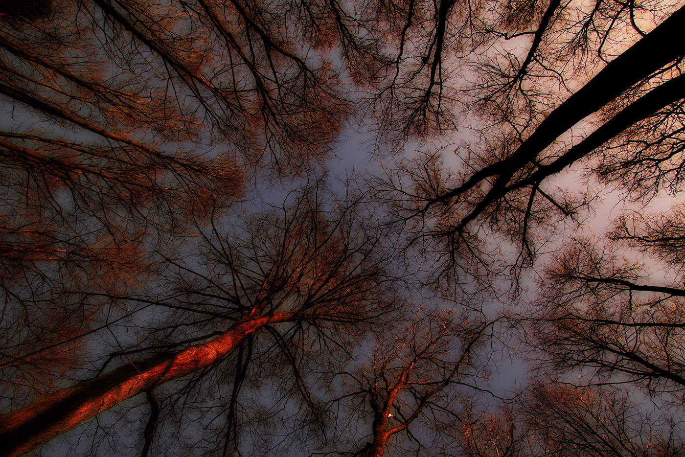 Runaround autumn