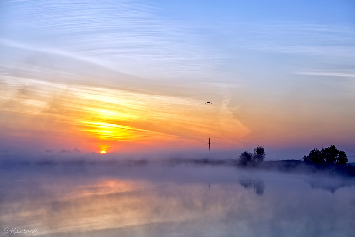 Morning