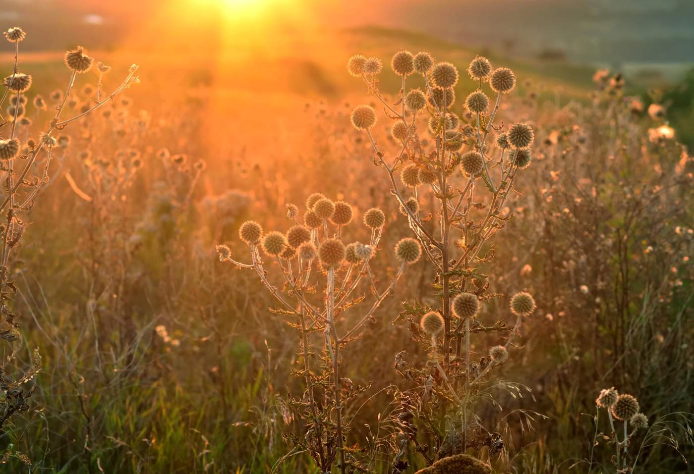 sunrise