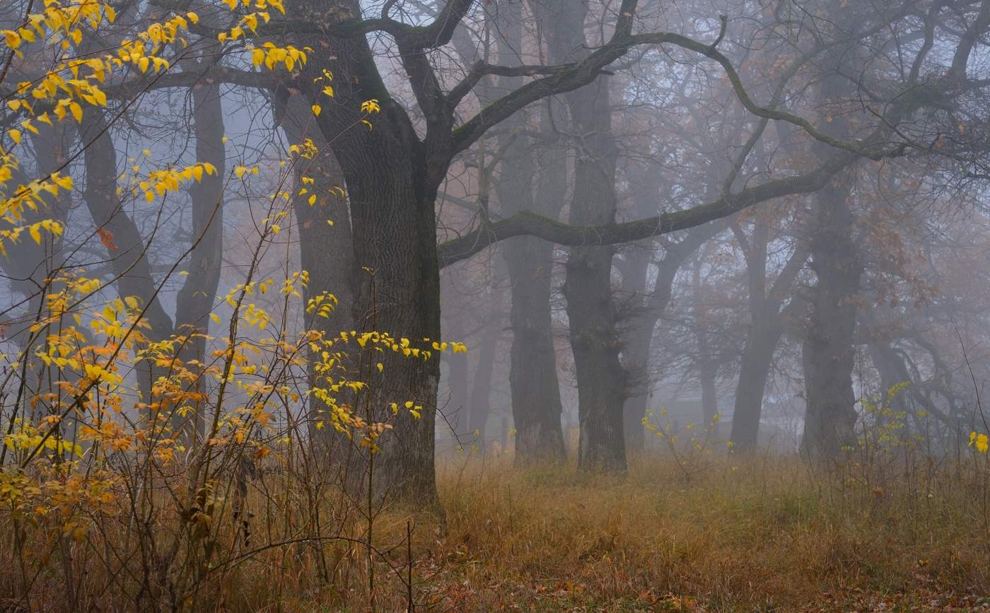 Autumn