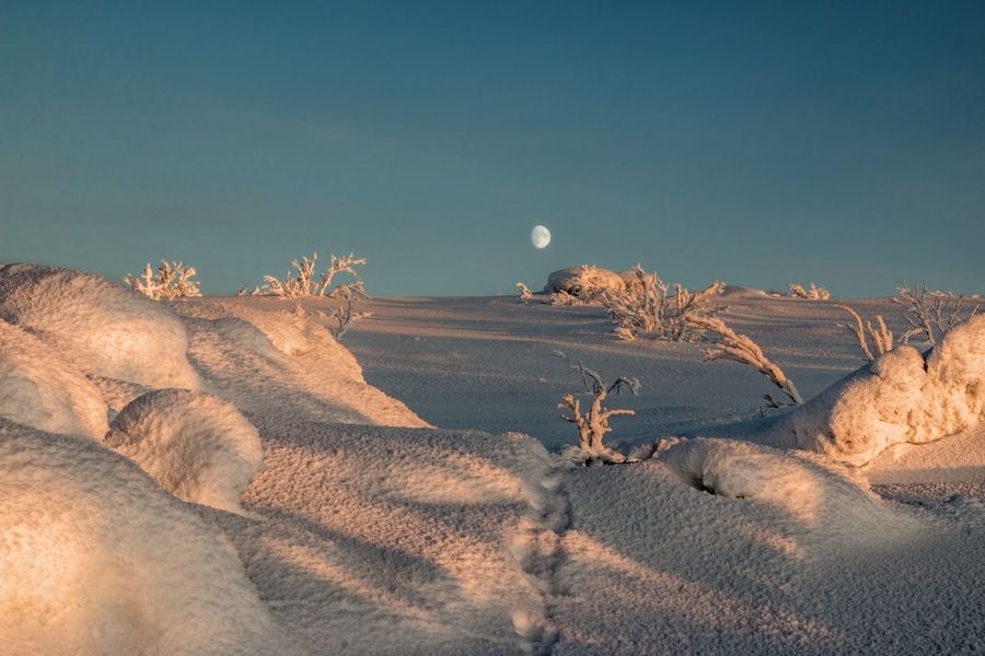 moon