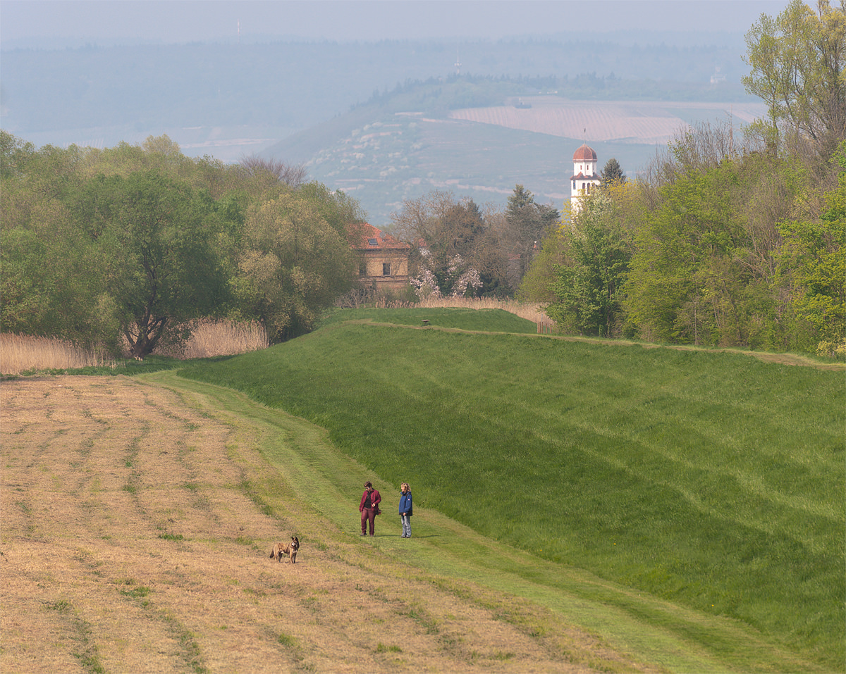 Der Spaziergang