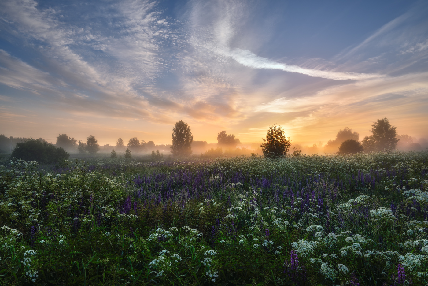 Early morning