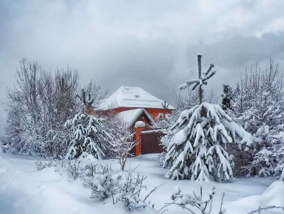 The Winter's Tale