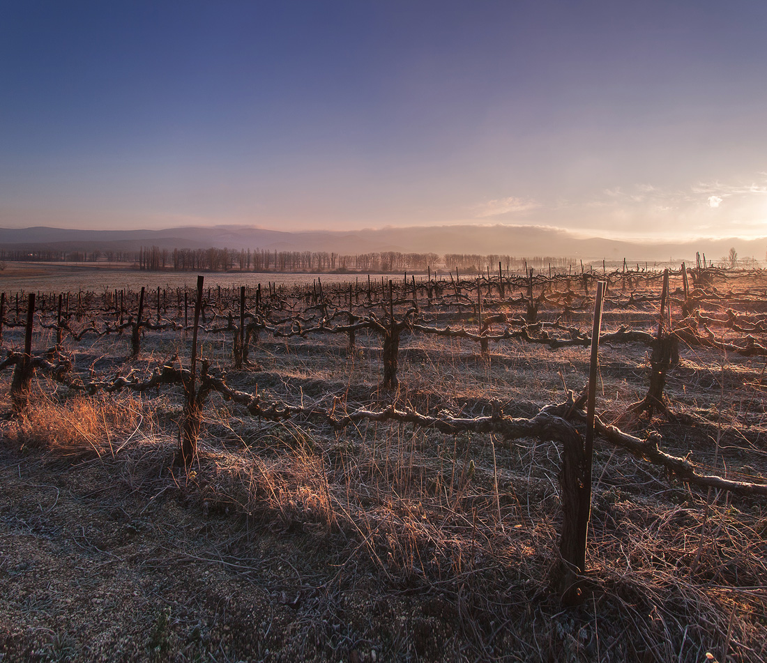February morning