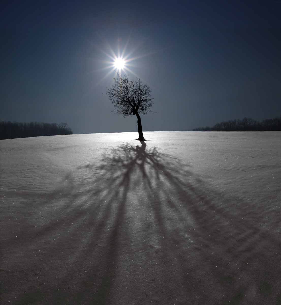 Shadow