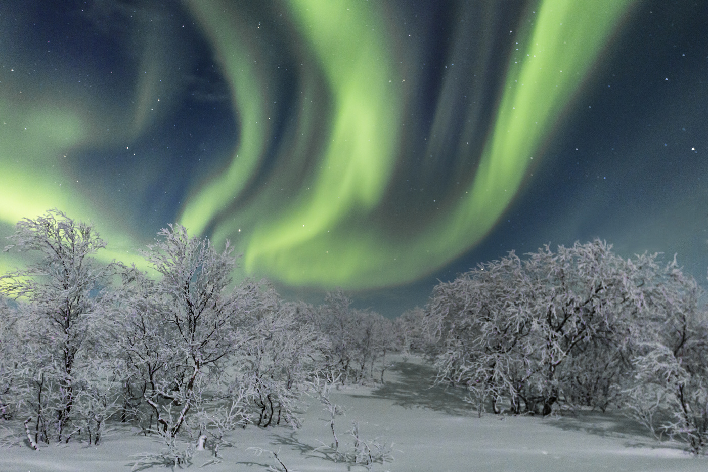 Aurora