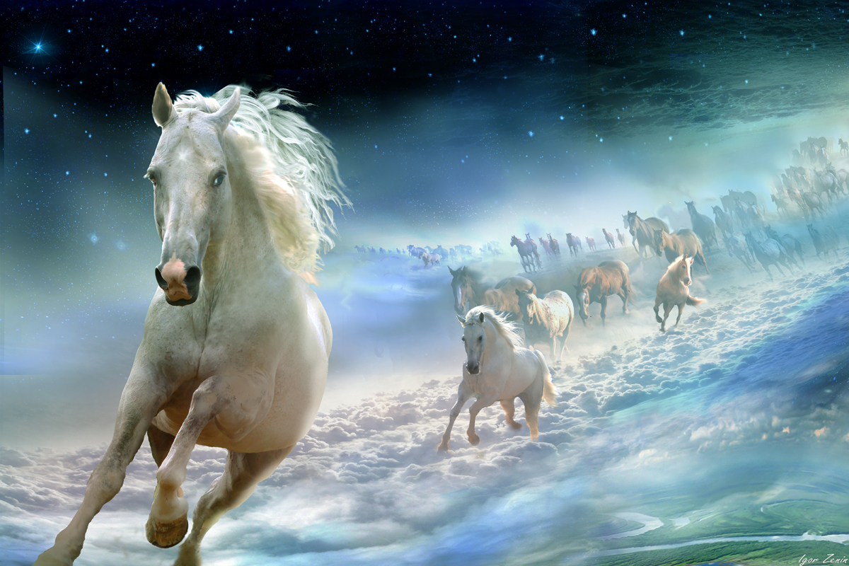 Небесные лошади