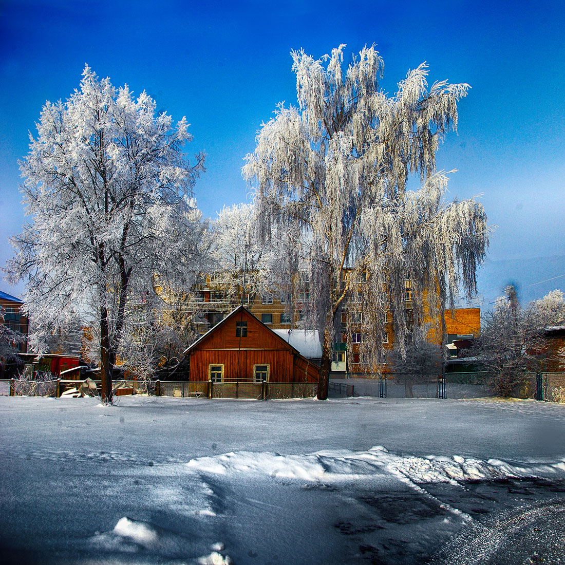 Hoarfrost