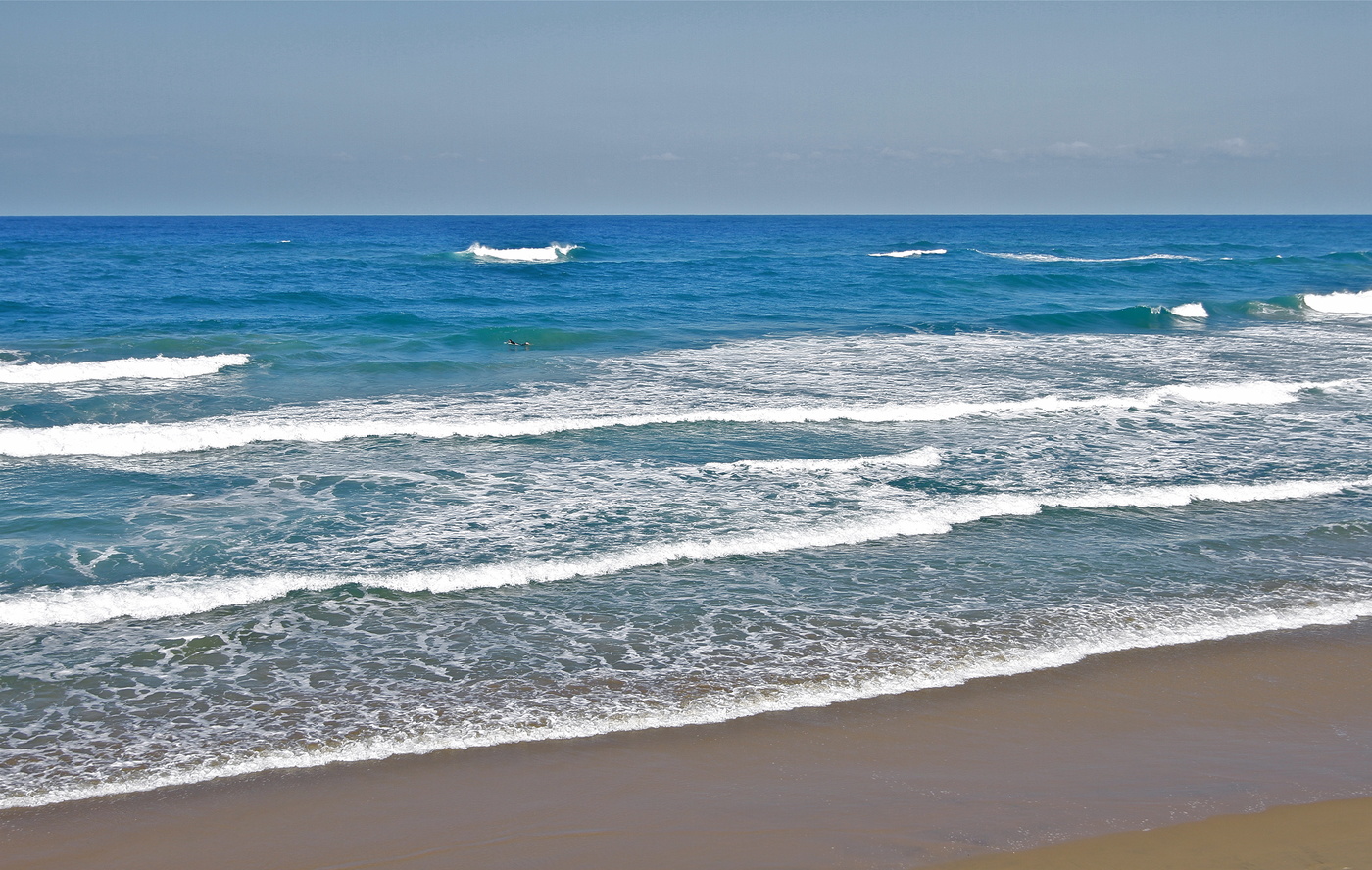 surf