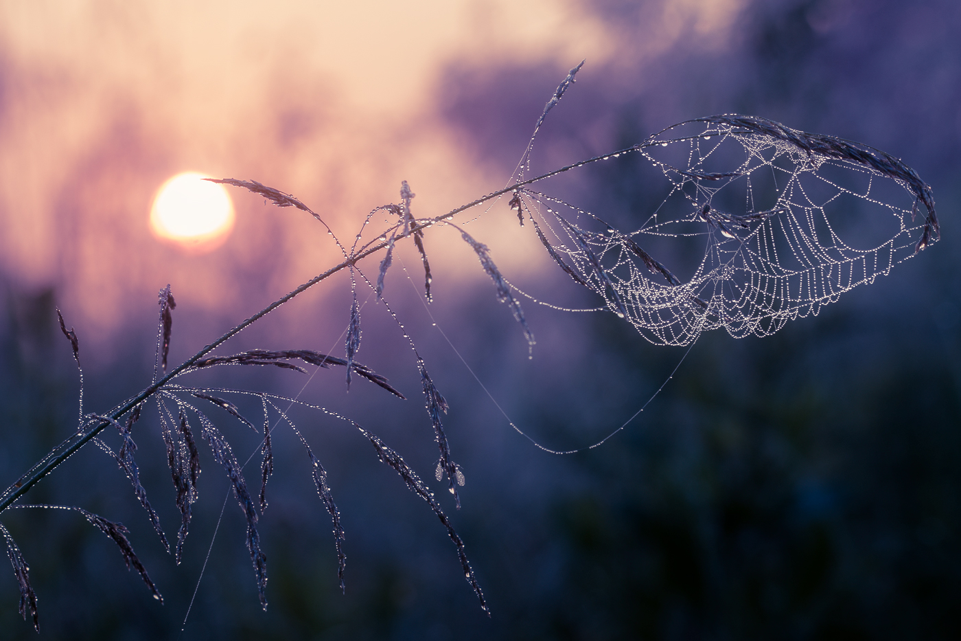 One morning