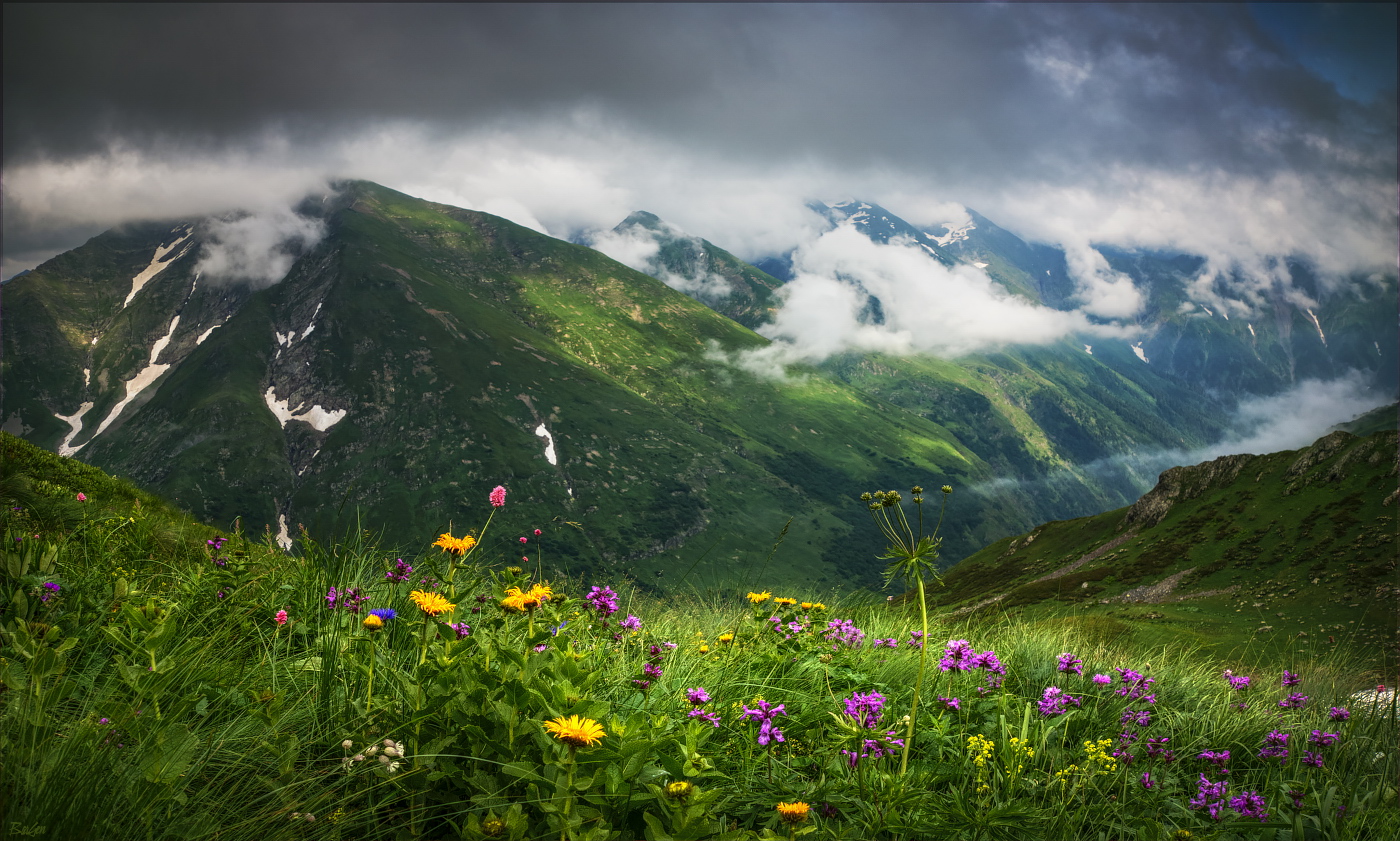 Summer in the mountains