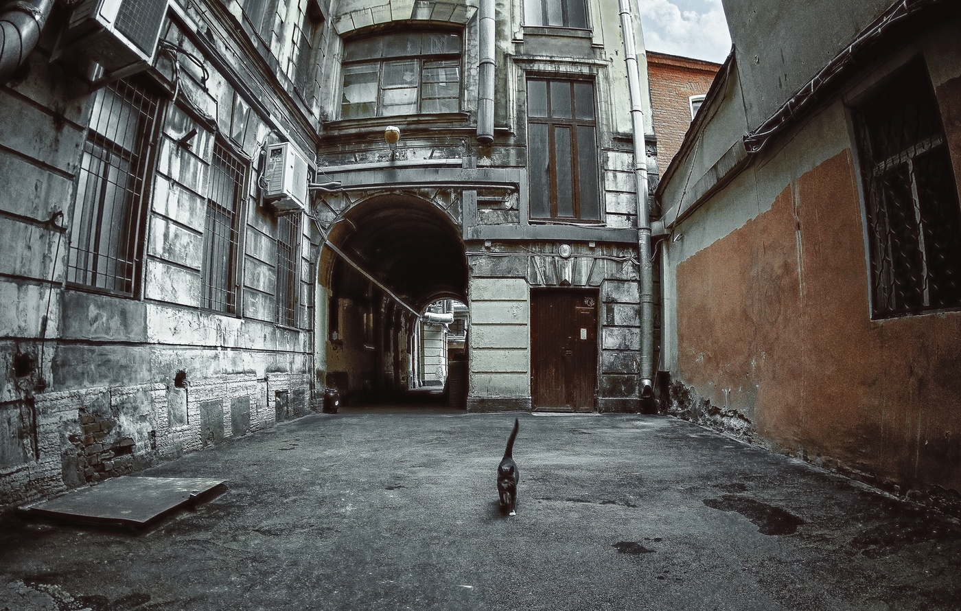 The old Petersburg courtyard.