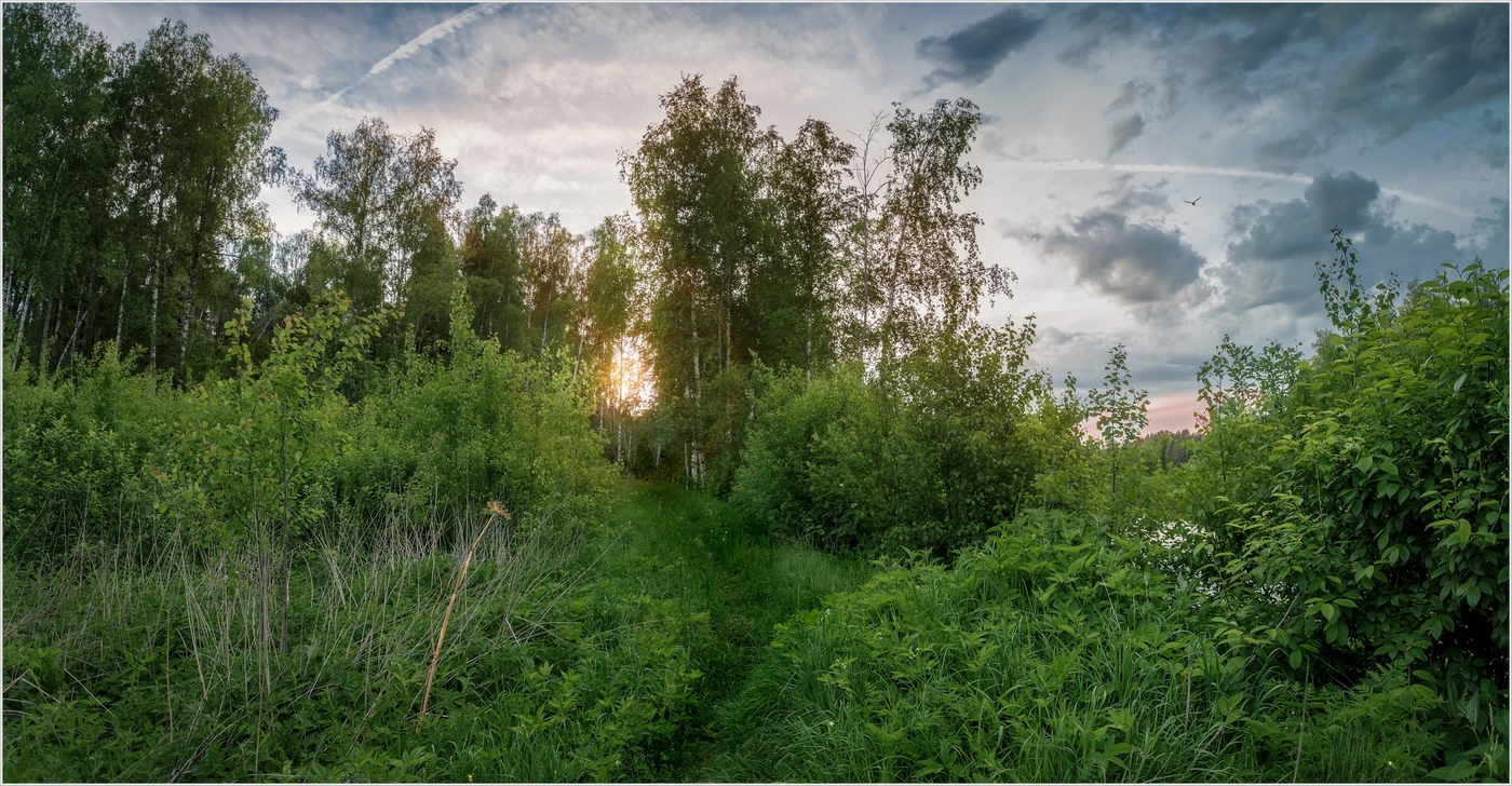 Pathway to the sun
