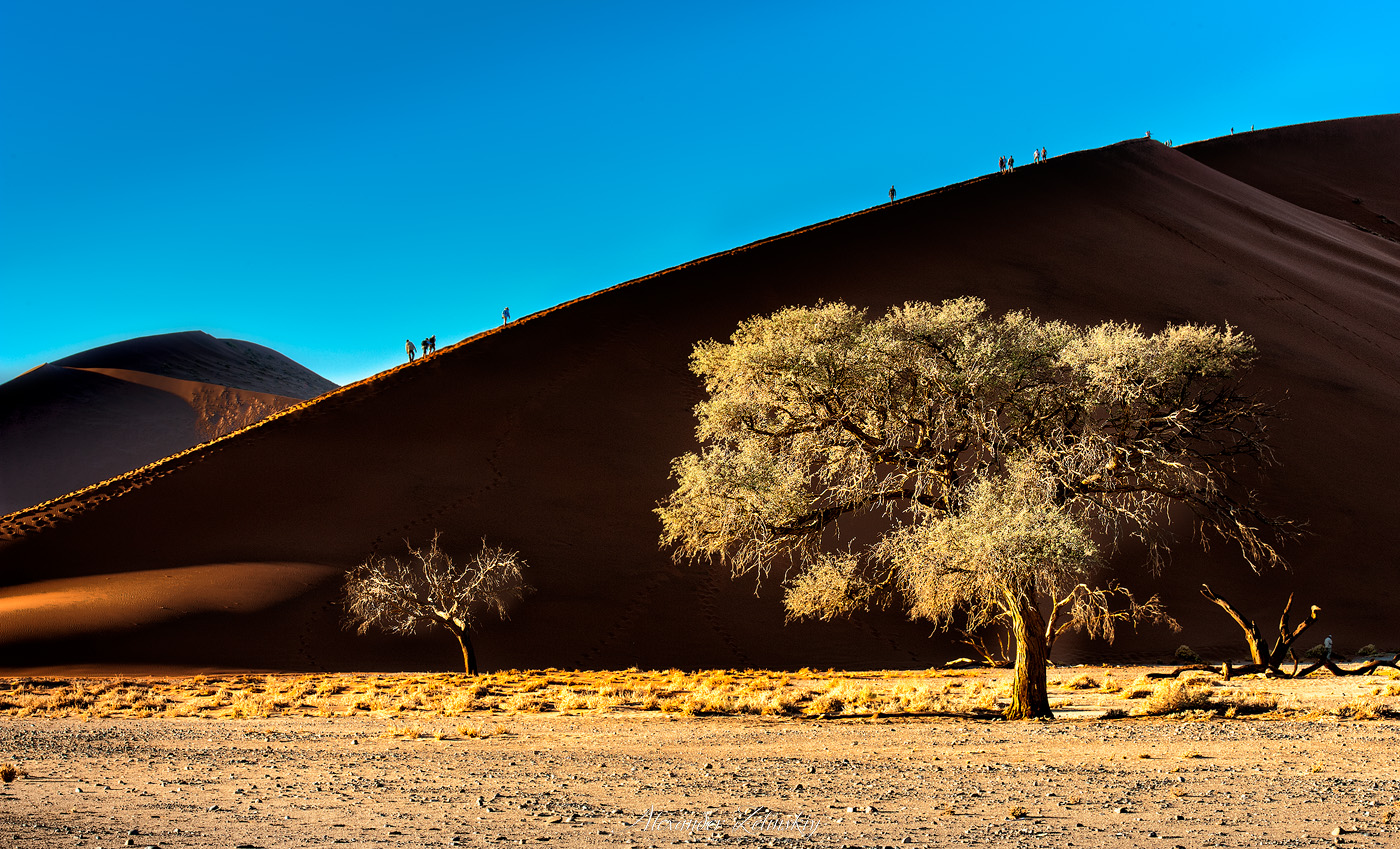 In the dunes