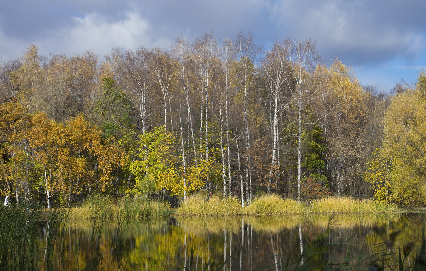 about autumn