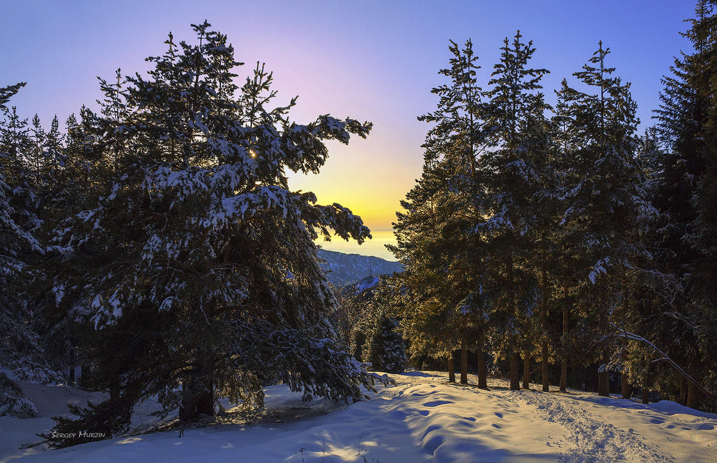 Winter Sunset
