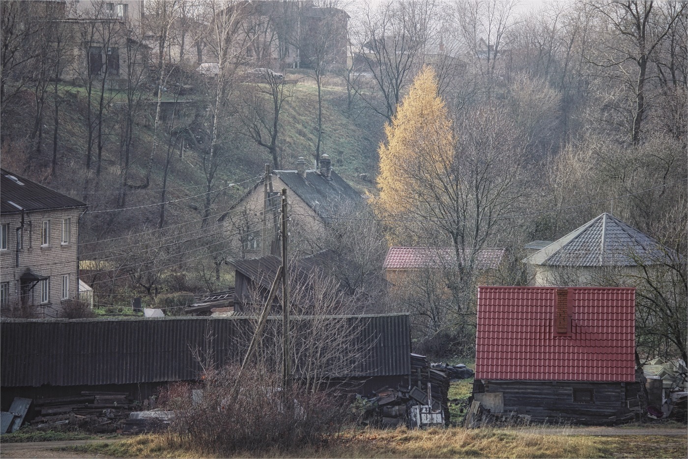 suburban landscape
