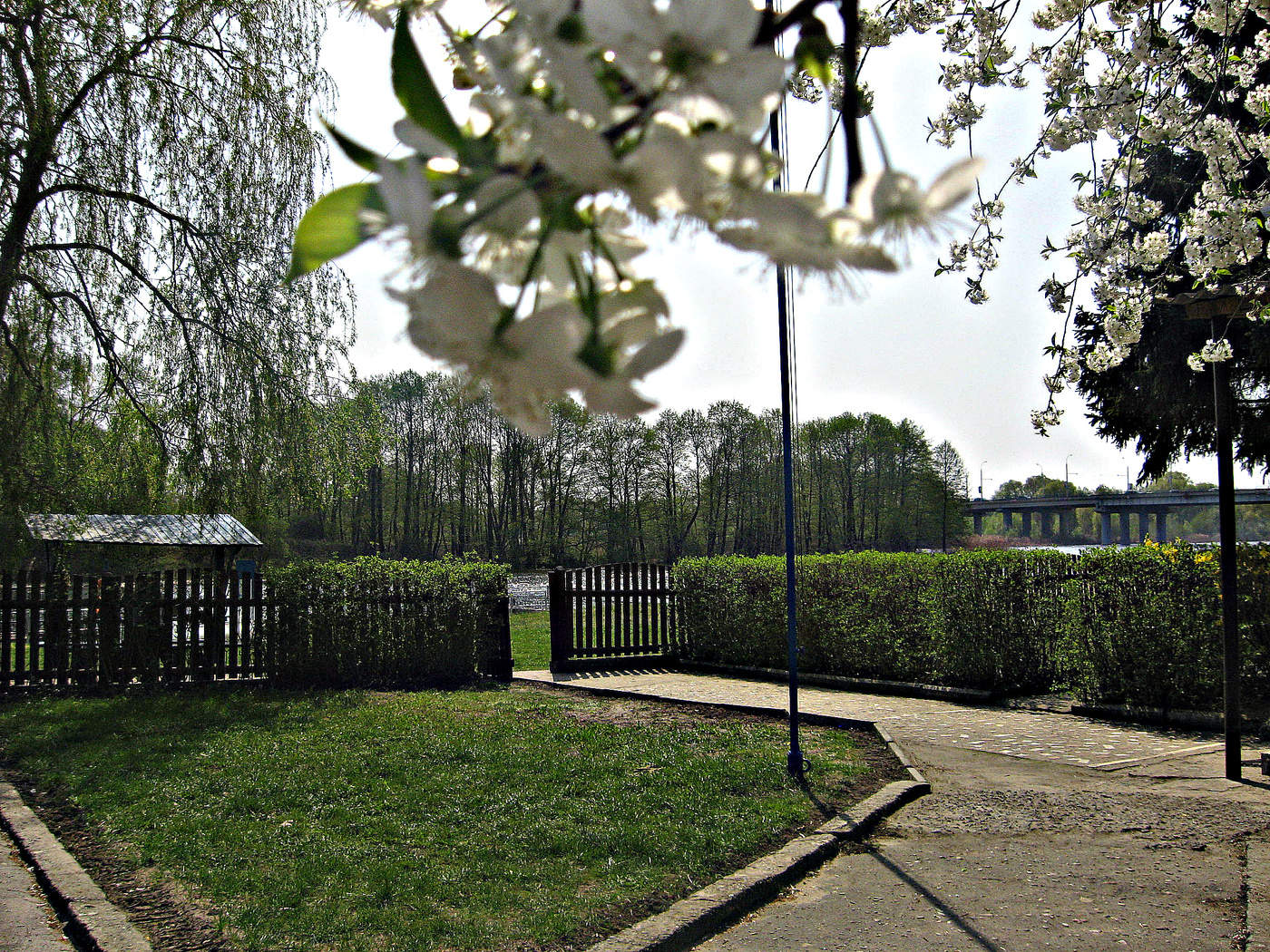 Spring