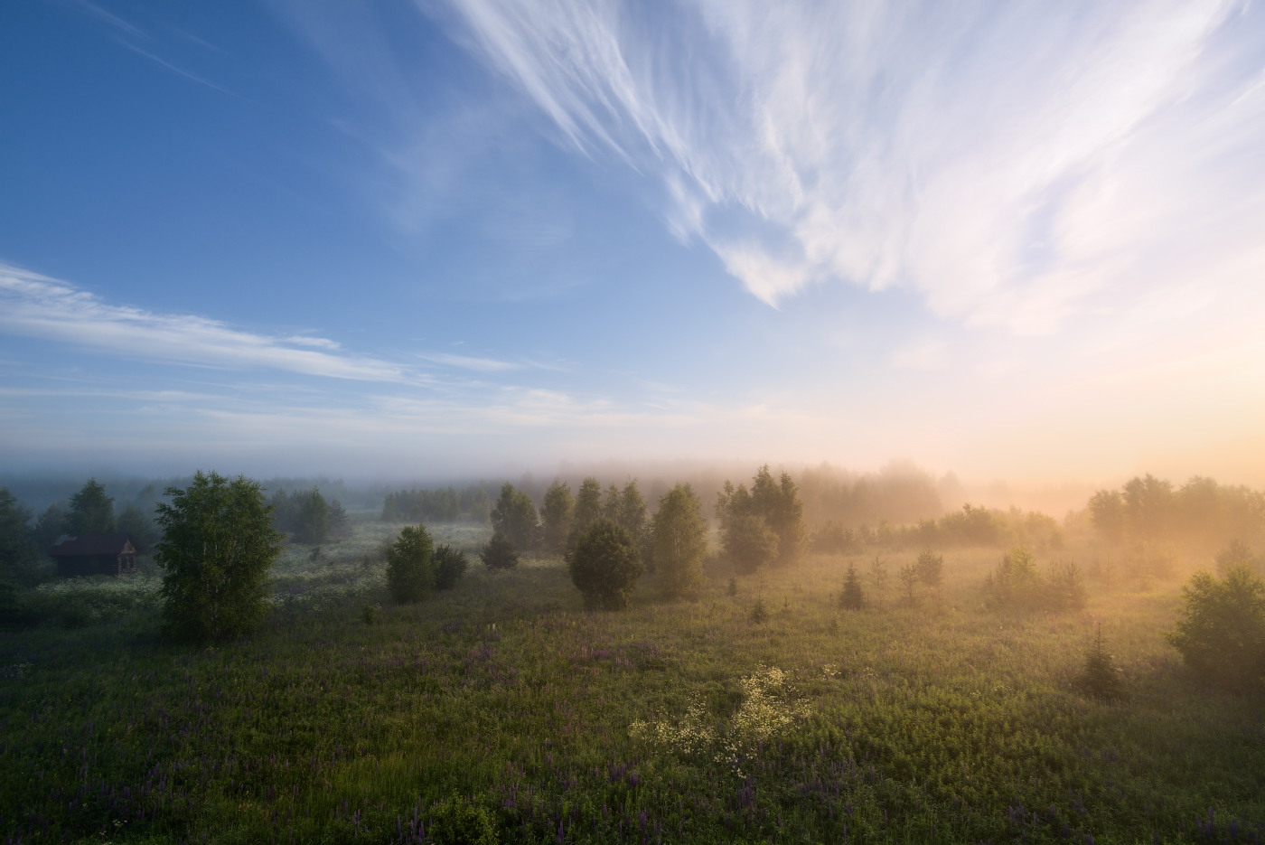 Foggy morning