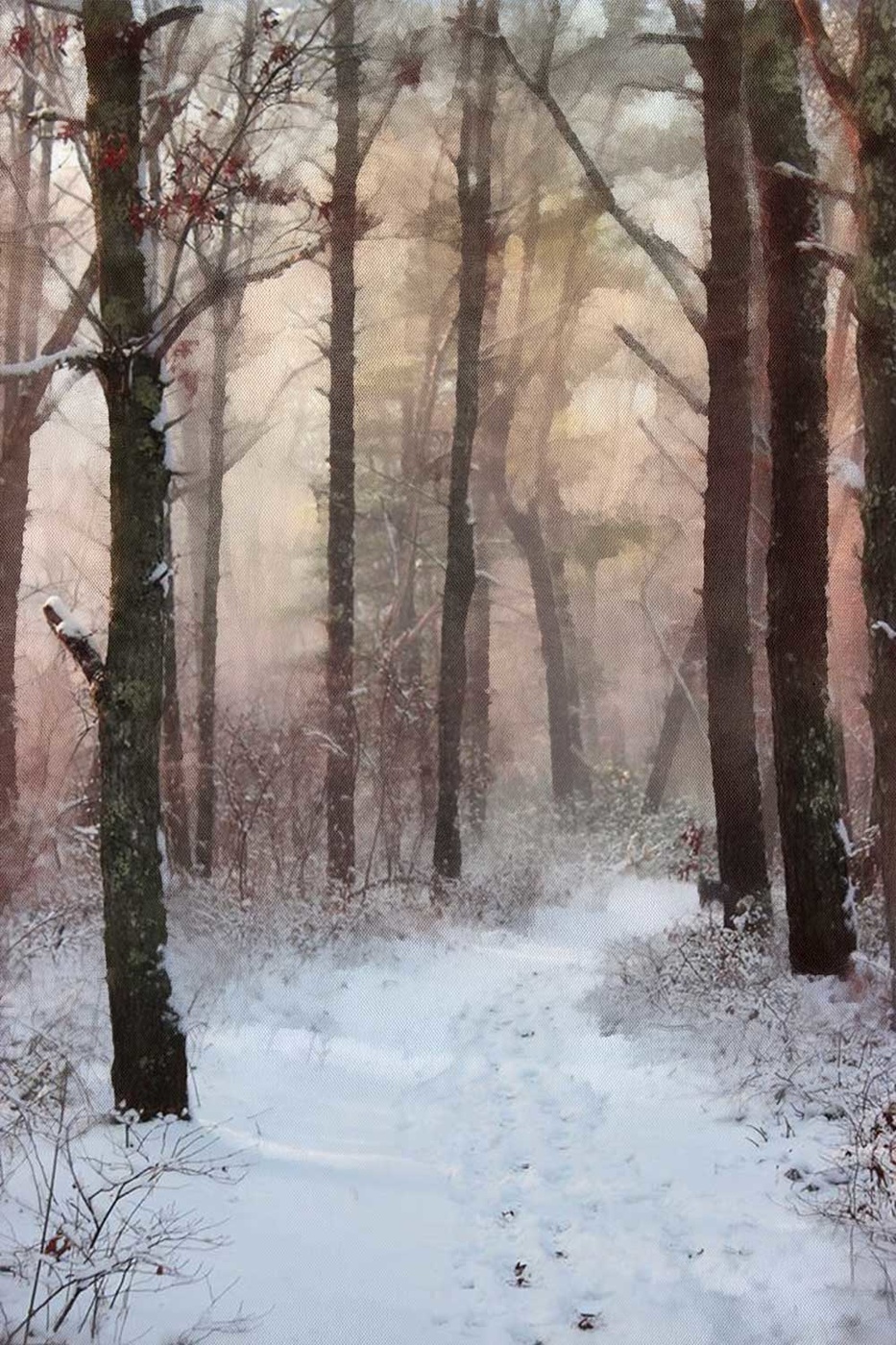 First snow