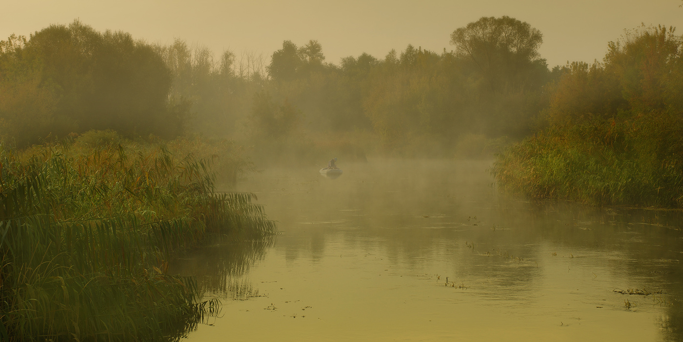 Morning Fisherman