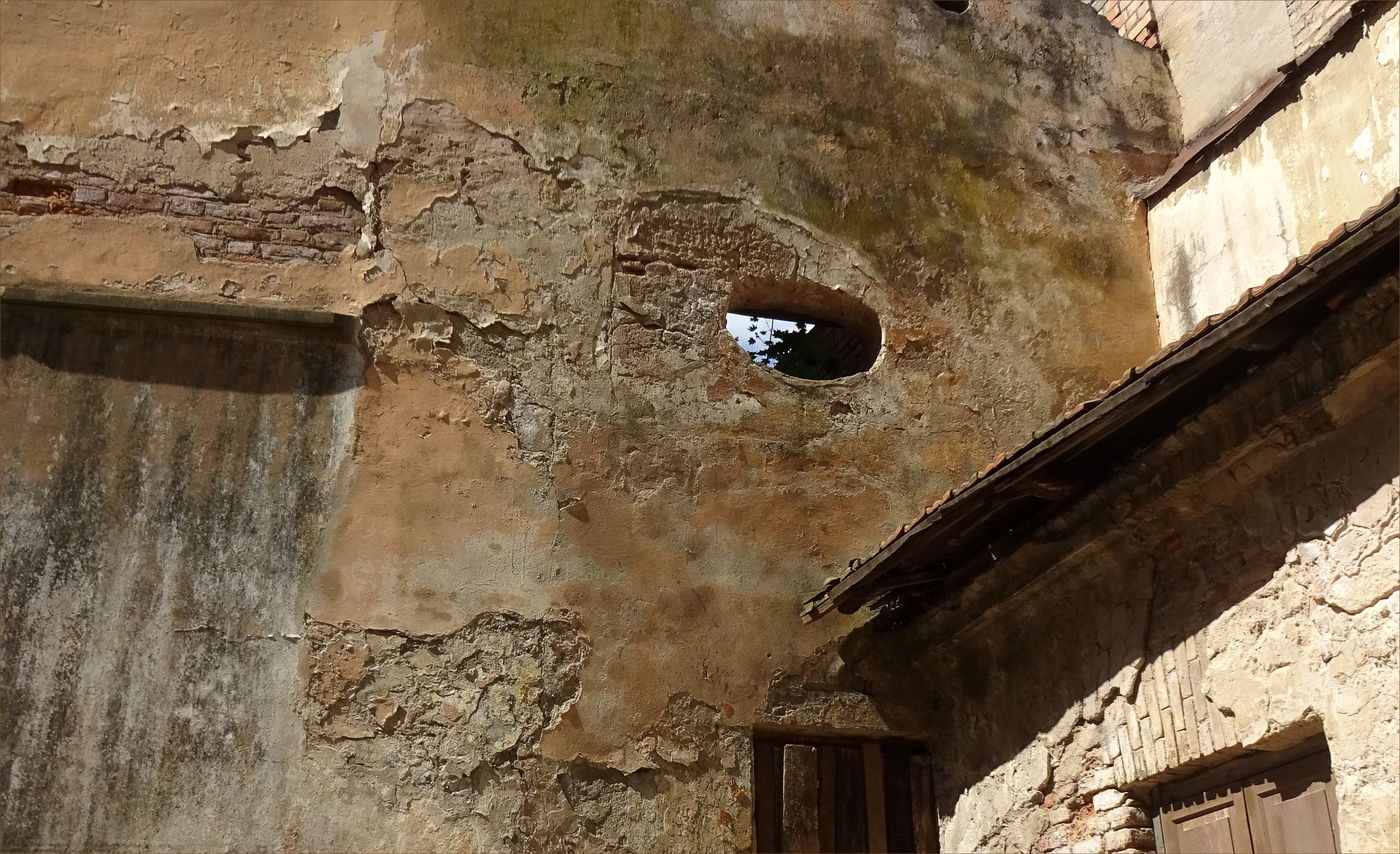 eye
