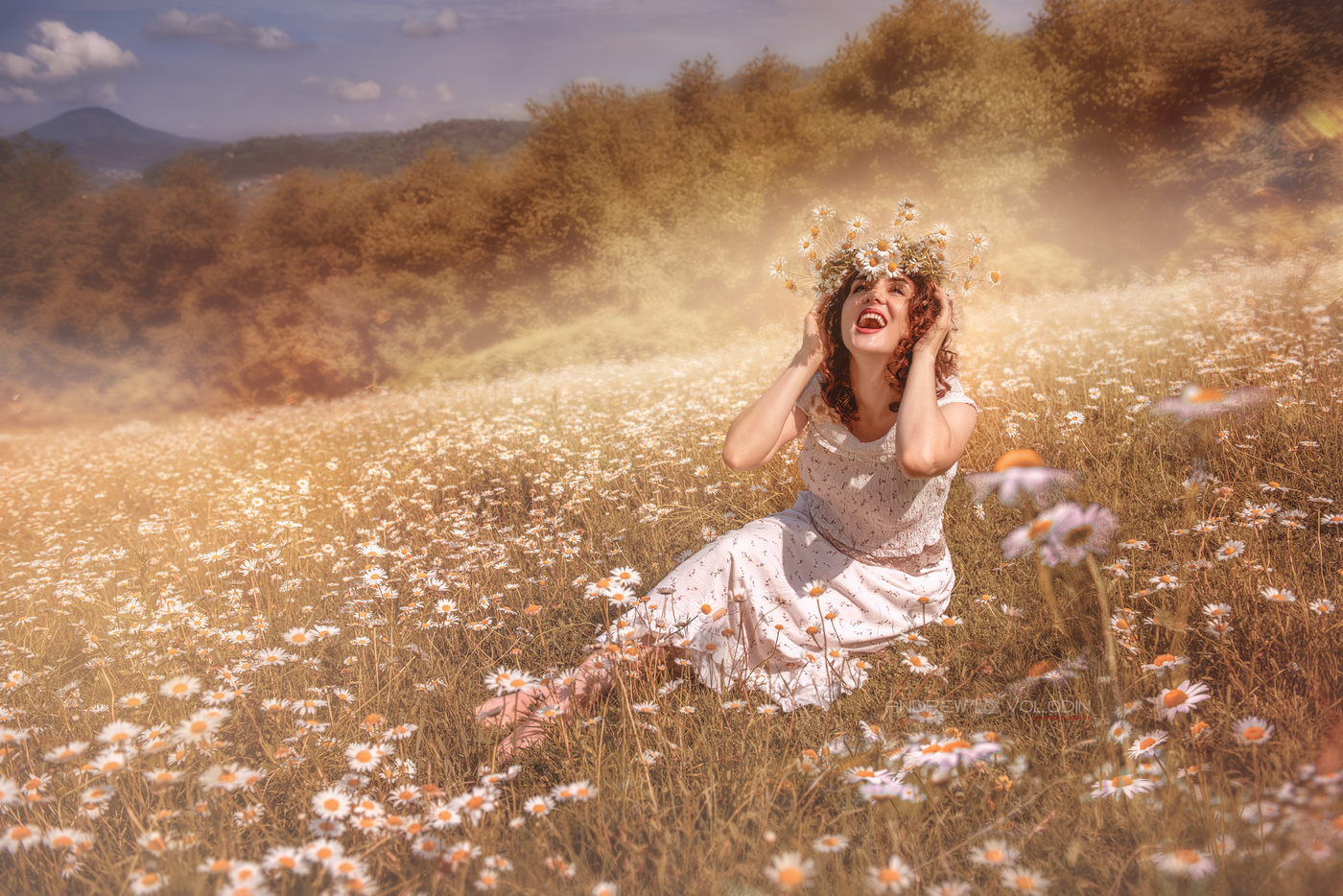 Daisies