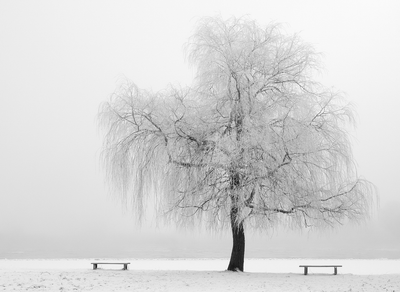 The January