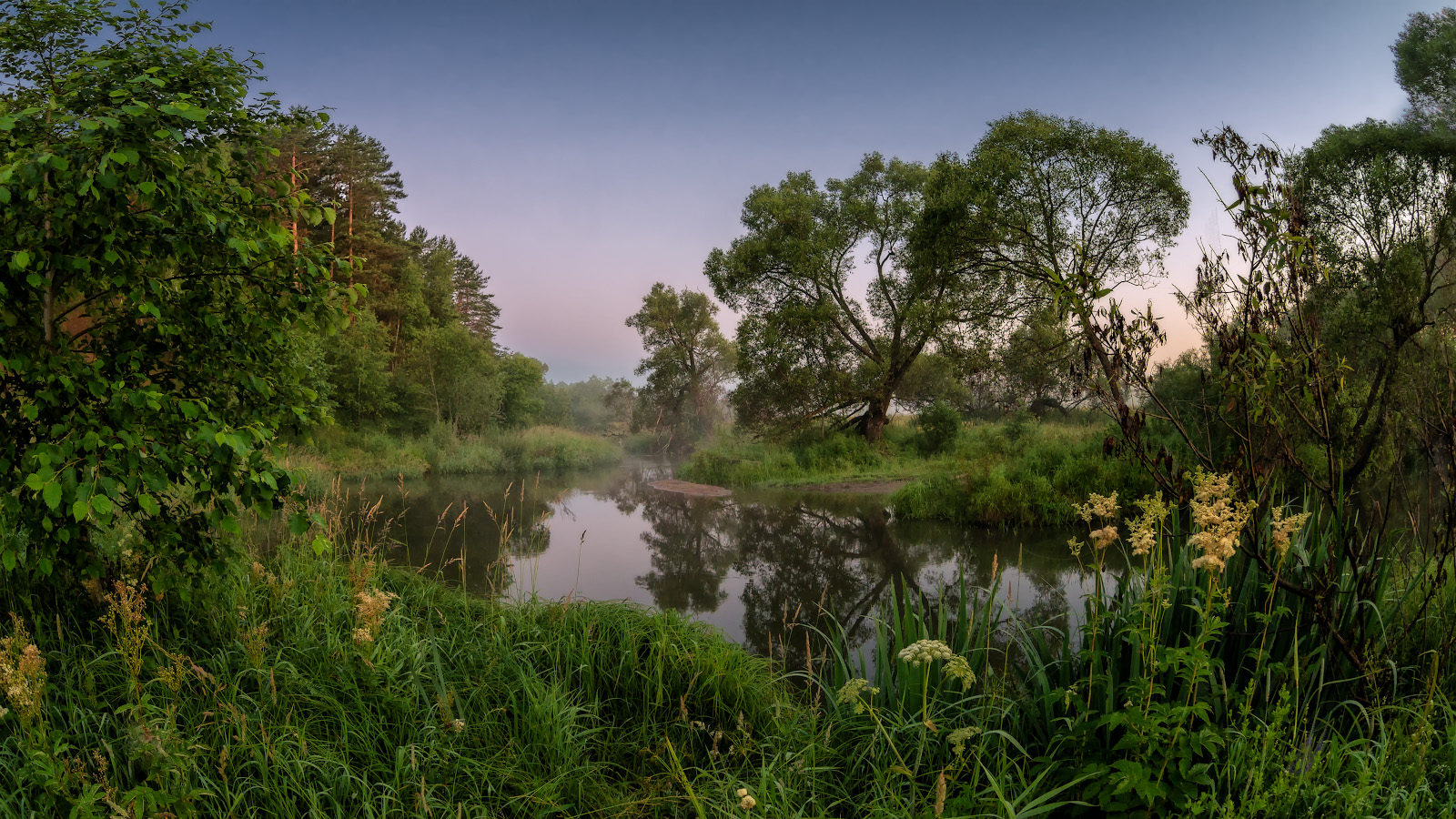 Early morning
