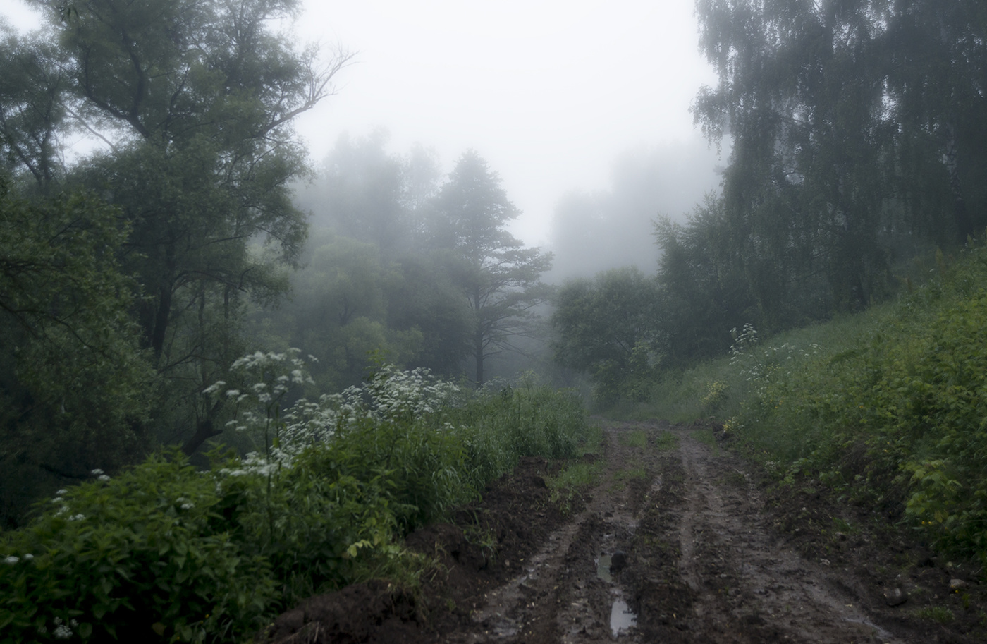 After the rain