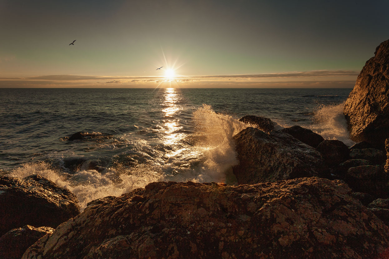Evening Landscape