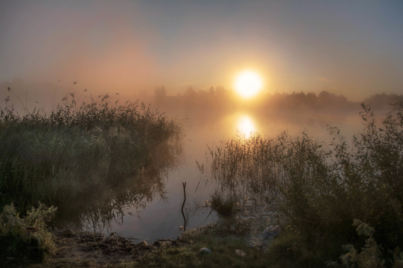 Dawn