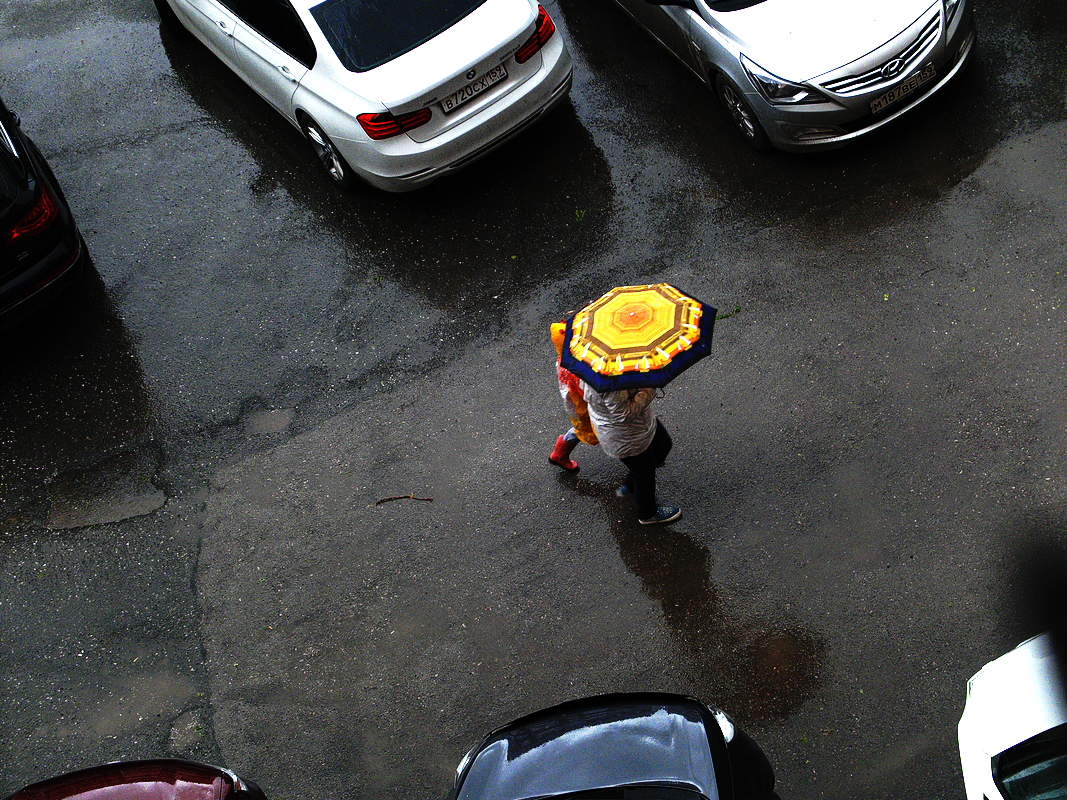 Rain