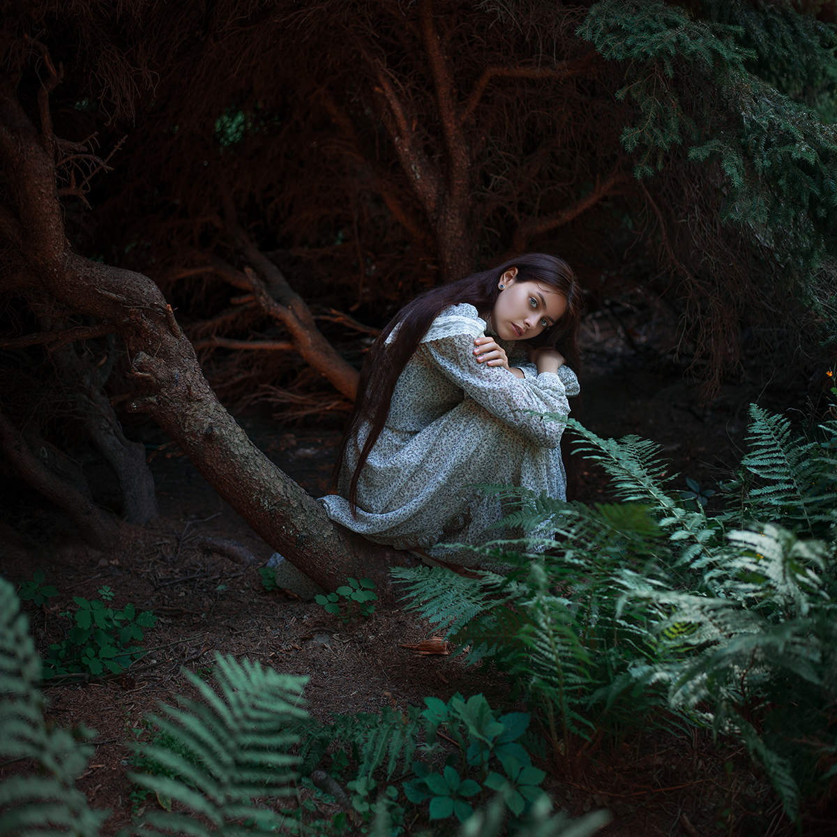 Dark forests