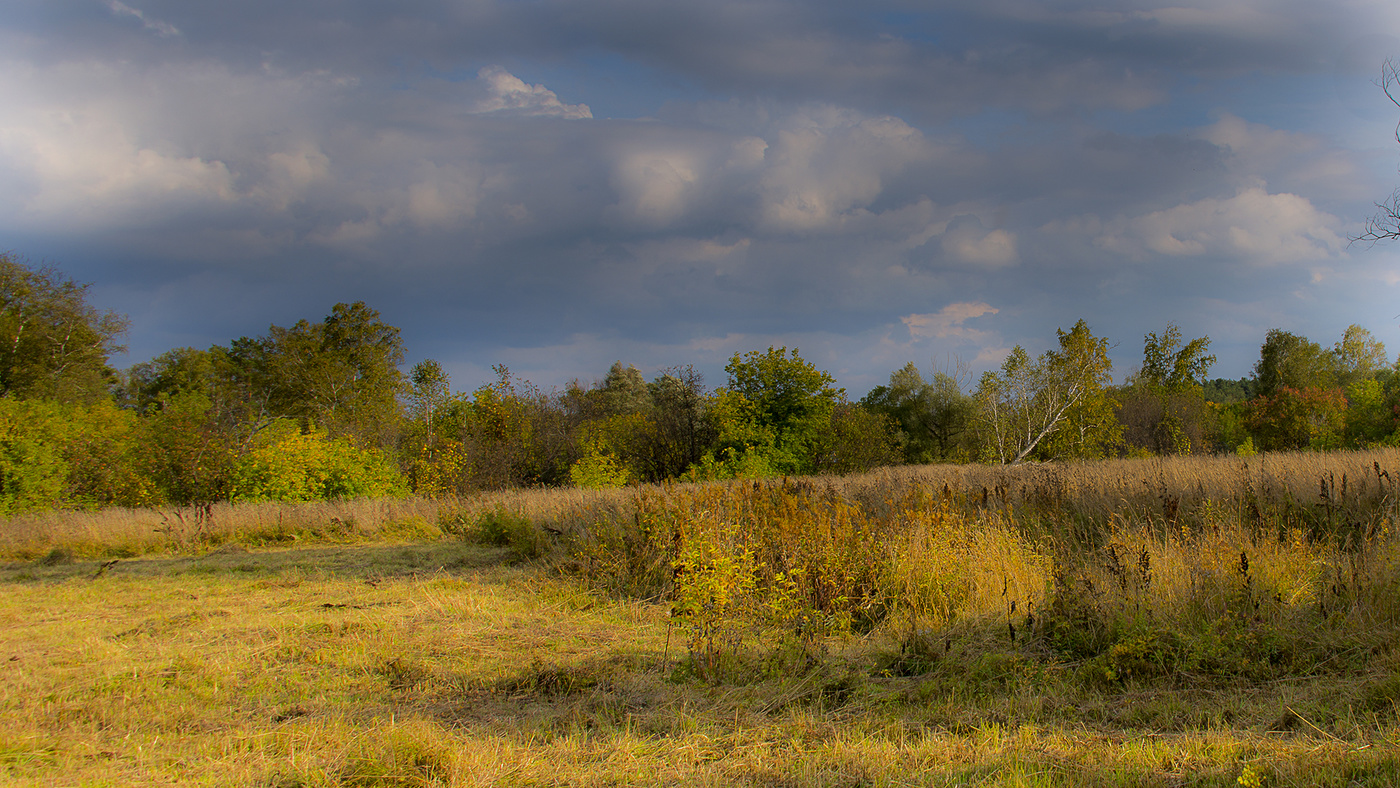 Grassland / photo