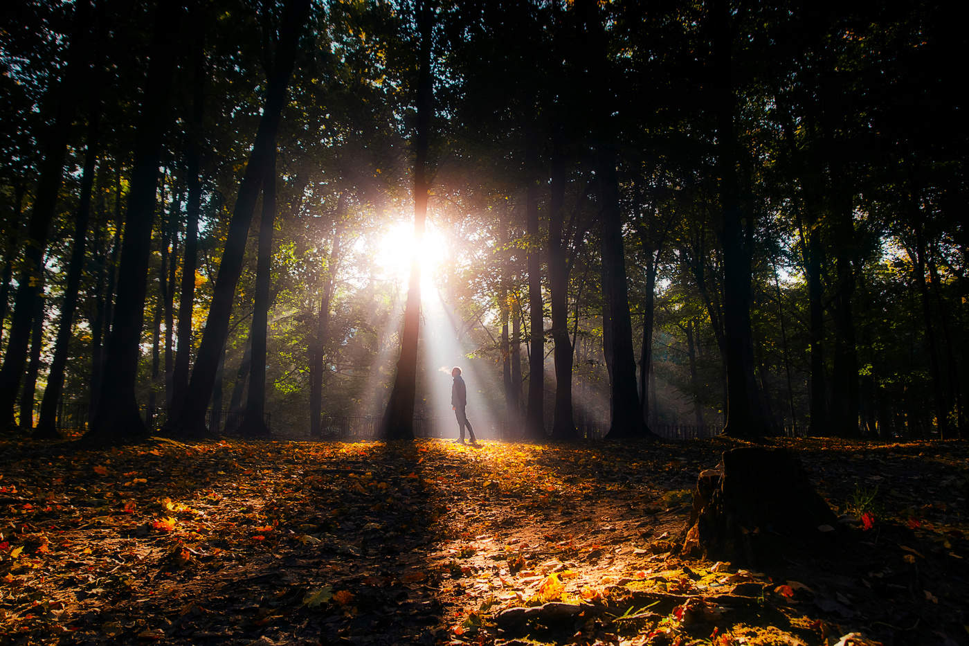 Under the sun