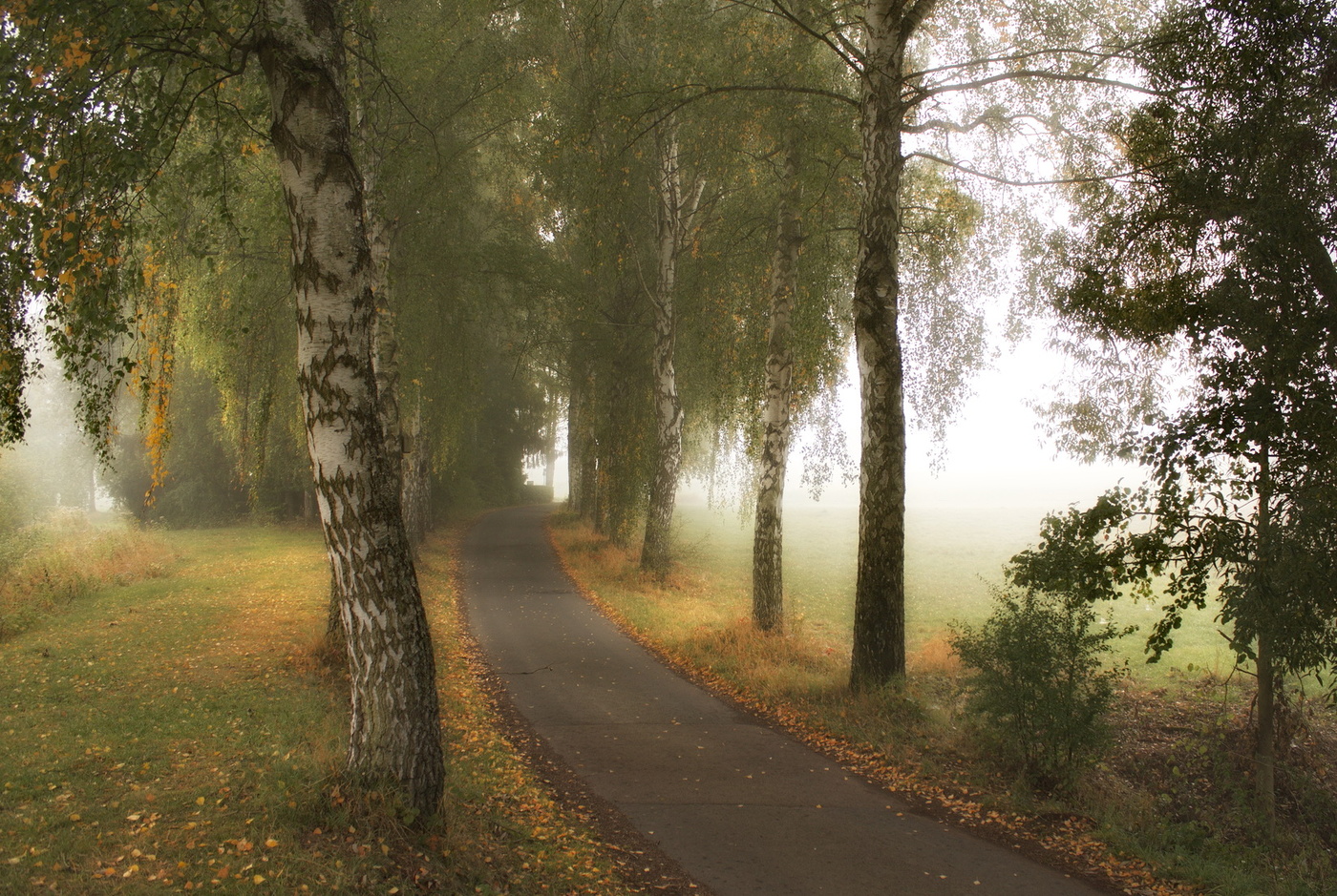 The smell of autumn