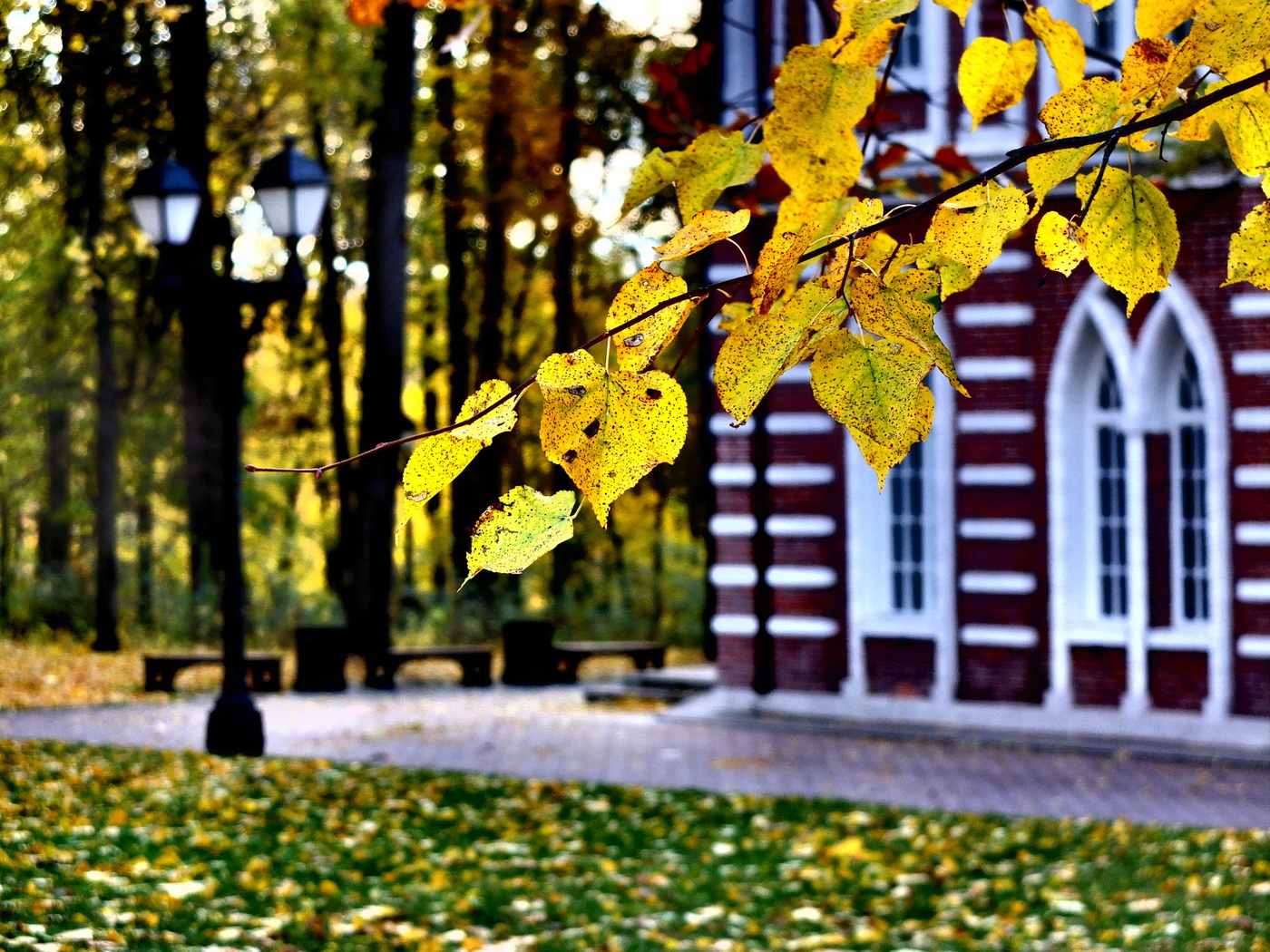 The smell of autumn