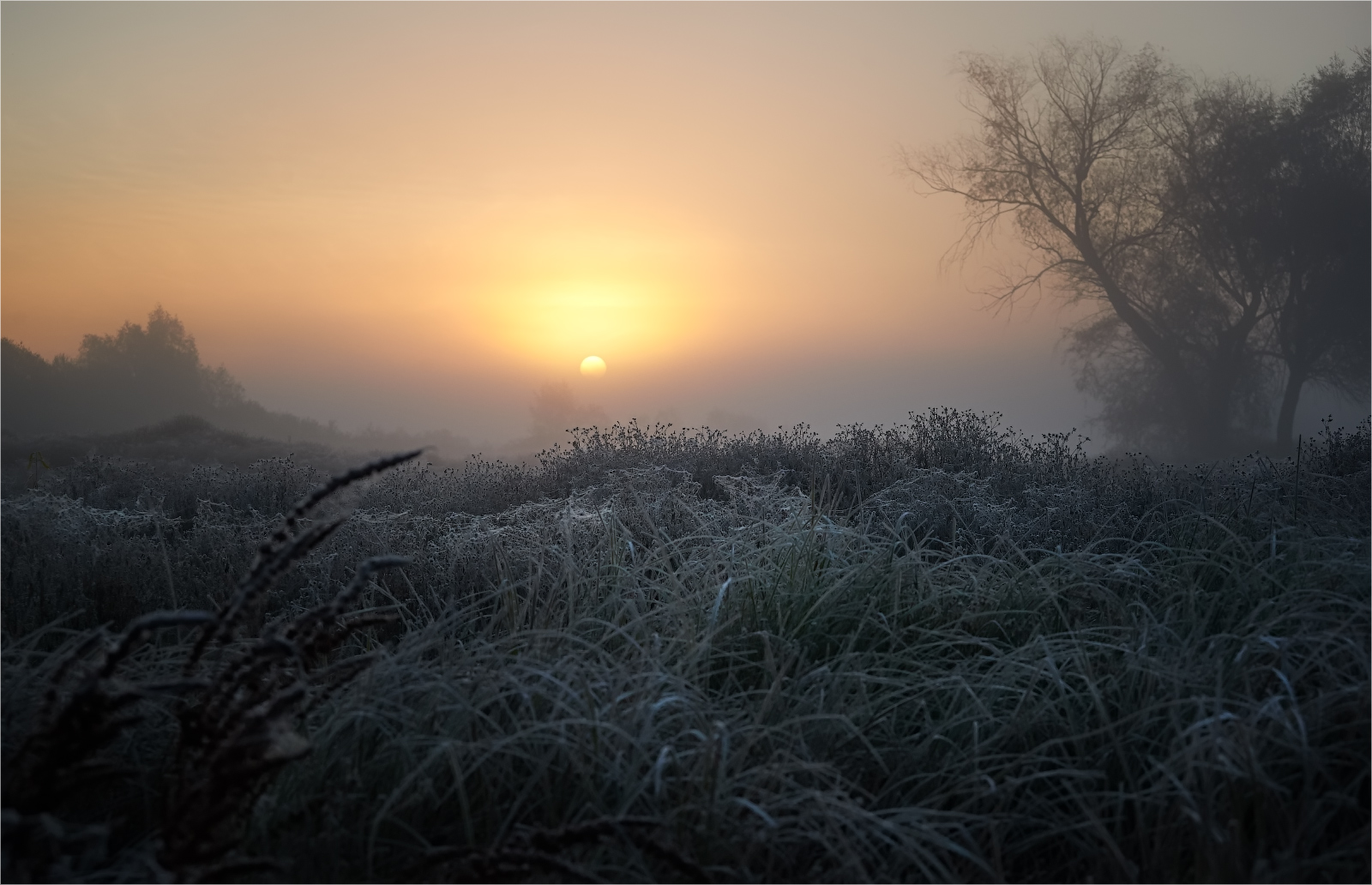 Meeting the dawn ...