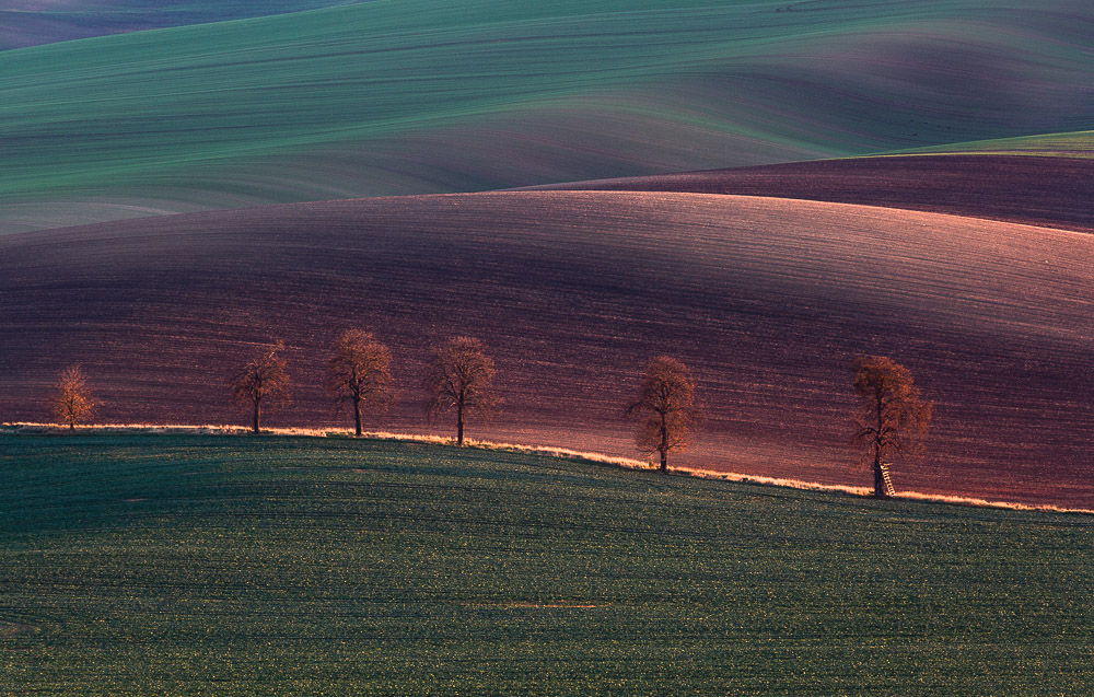 Moravian evening