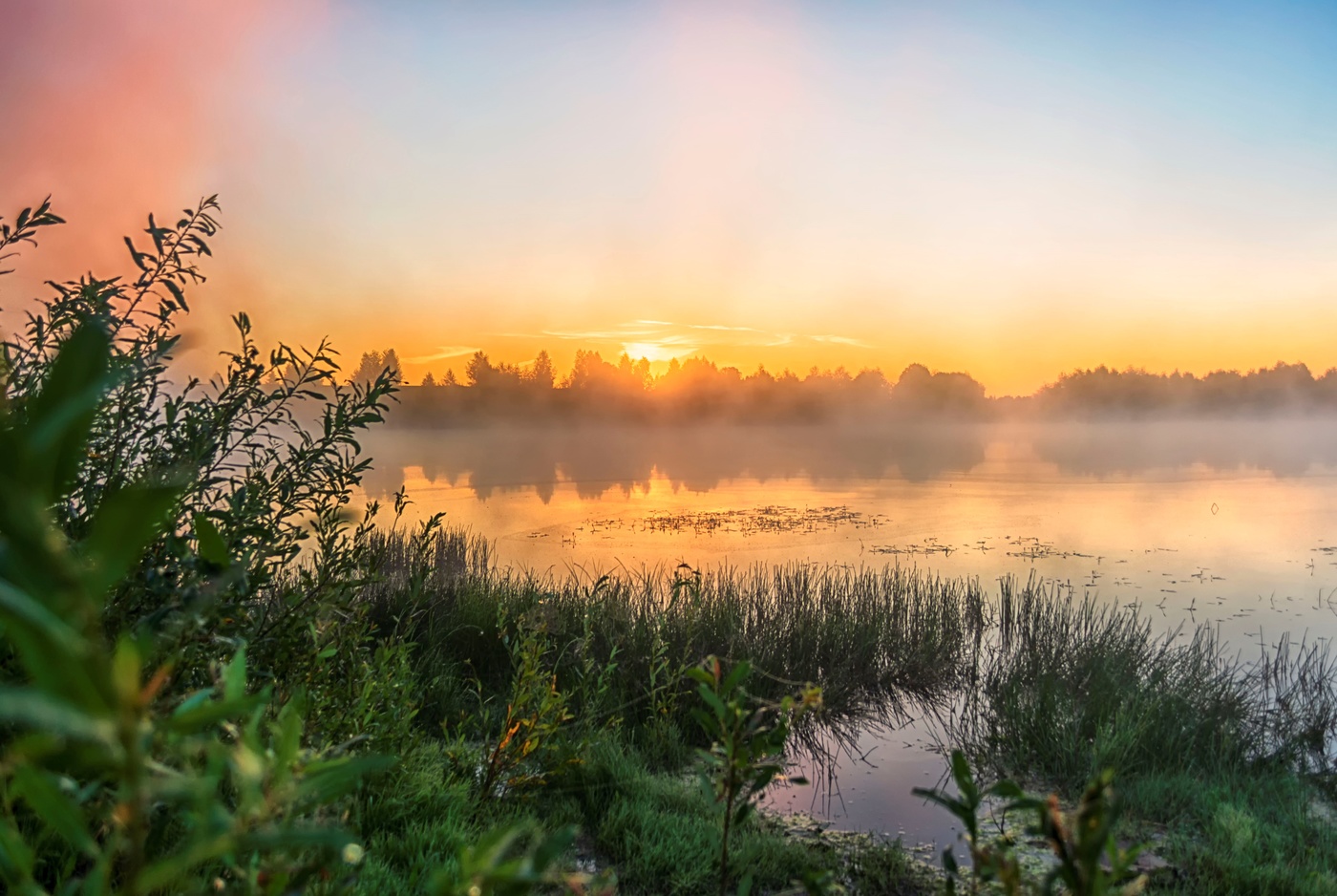 Dawn