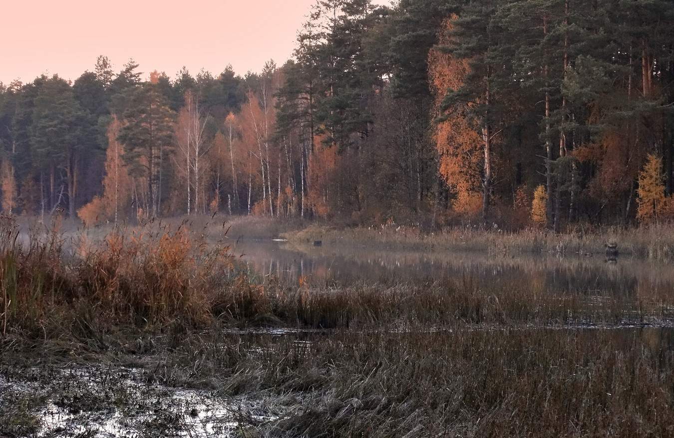 Autumn Nature