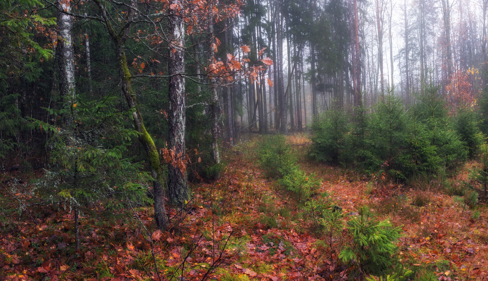 about autumn