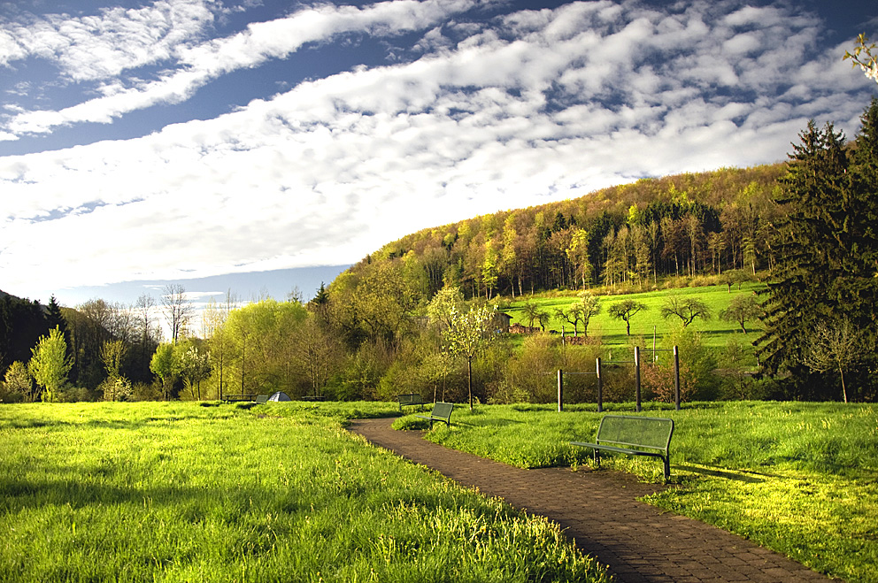 Morning landscape