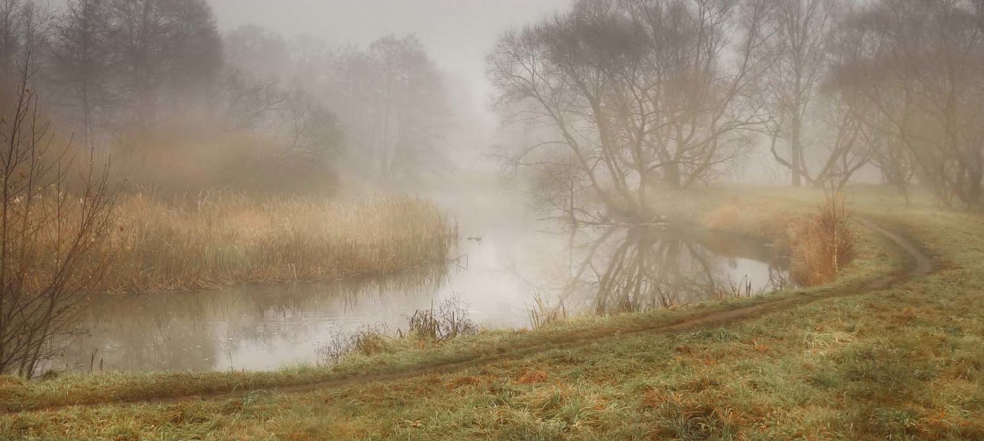 Autumn morning